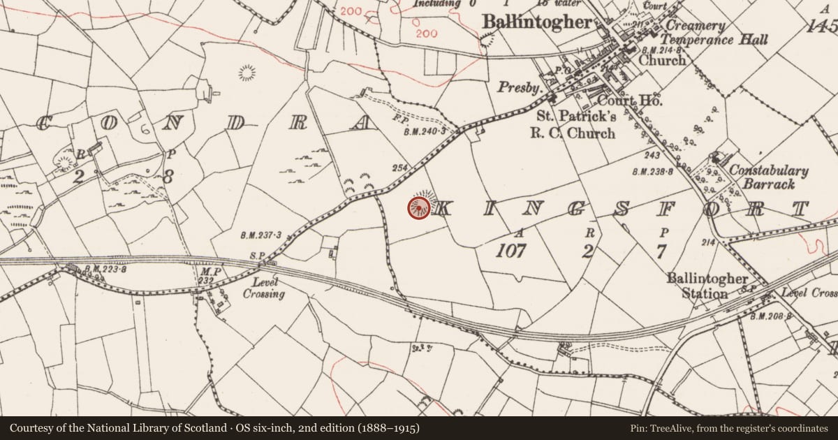 Ordnance Survey six-inch map, 2nd edition (1888–1915) covering the location of Ringfort - rath, Kingsfort, County Sligo, with a pin at the register's coordinates