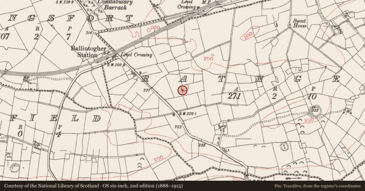 Ordnance Survey six-inch map, 2nd edition (1888–1915) covering the location of Ringfort - rath, Rathgeean, County Sligo, with a pin at the register's coordinates