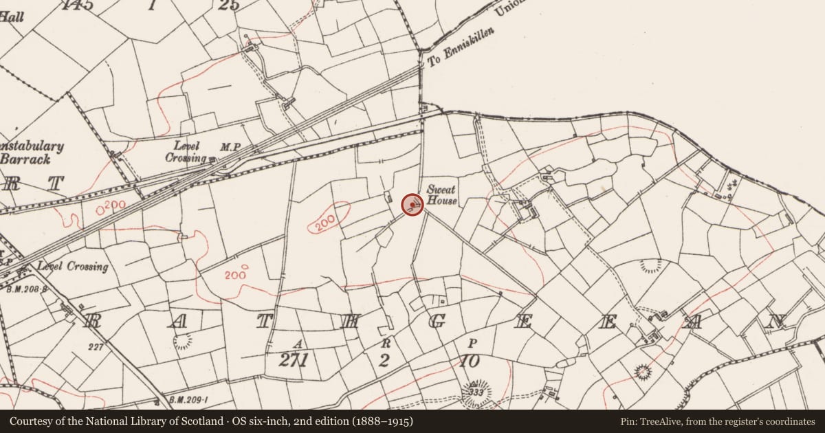 Ordnance Survey six-inch map, 2nd edition (1888–1915) covering the location of Sweathouse, Rathgeean, County Sligo, with a pin at the register's coordinates