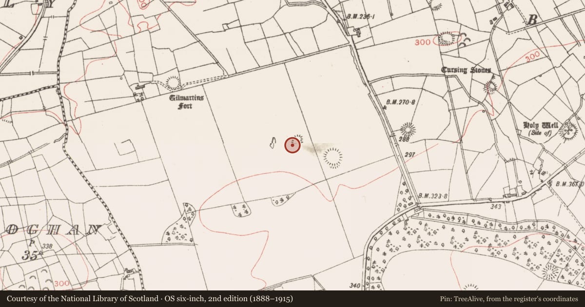 Ordnance Survey six-inch map, 2nd edition (1888–1915) covering the location of Ringfort - rath, Lavally, County Sligo, with a pin at the register's coordinates