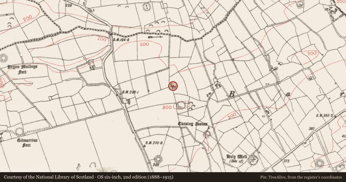 Ordnance Survey six-inch map, 2nd edition (1888–1915) covering the location of Ringfort - rath, Lavally, County Sligo, with a pin at the register's coordinates