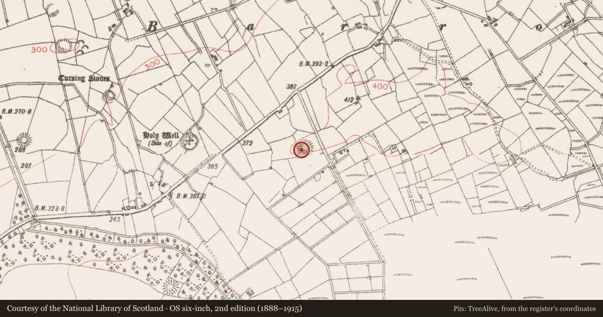 Ordnance Survey six-inch map, 2nd edition (1888–1915) covering the location of Ringfort - rath, Lavally, County Sligo, with a pin at the register's coordinates