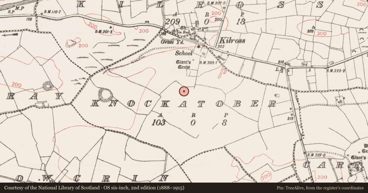 Ordnance Survey six-inch map, 2nd edition (1888–1915) covering the location of Barrow - mound barrow, Knockatober, County Sligo, with a pin at the register's coordinates