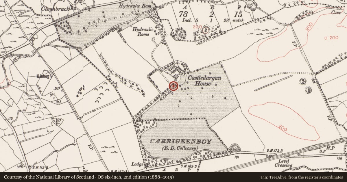 Ordnance Survey six-inch map, 2nd edition (1888–1915) covering the location of Designed landscape - folly, Castledargan, County Sligo, with a pin at the register's coordinates