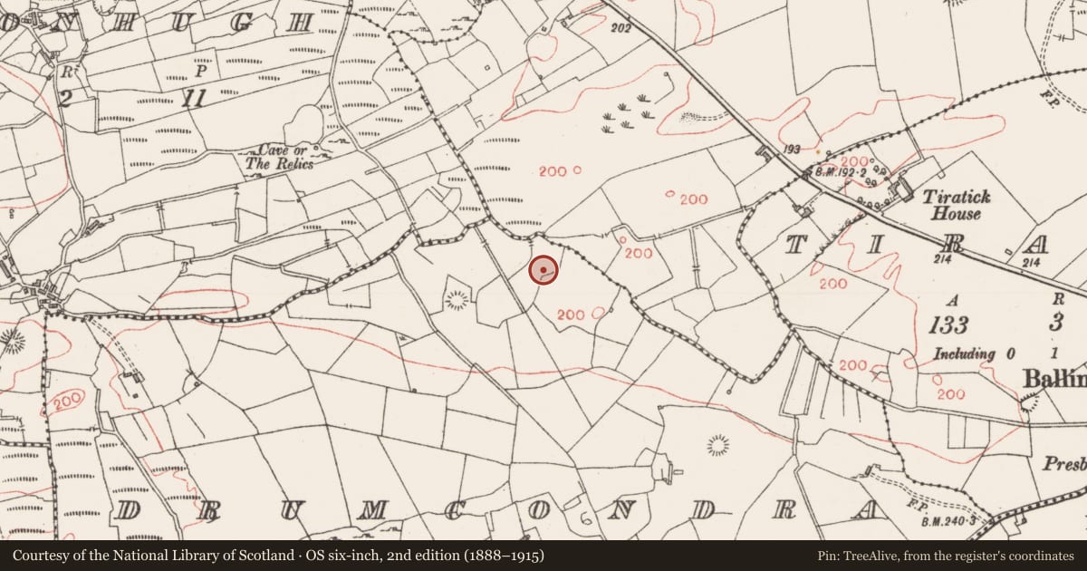 Ordnance Survey six-inch map, 2nd edition (1888–1915) covering the location of Field system, Drumcondra, County Sligo, with a pin at the register's coordinates