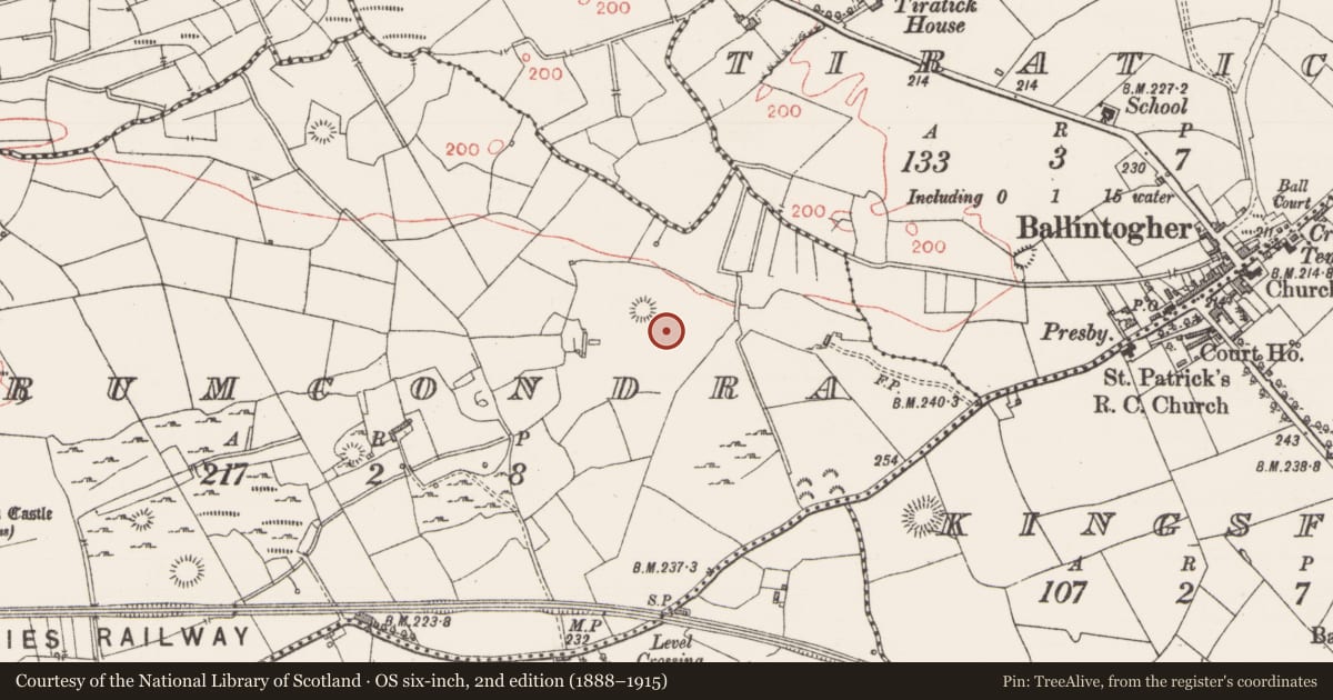 Ordnance Survey six-inch map, 2nd edition (1888–1915) covering the location of Field system, Drumcondra, County Sligo, with a pin at the register's coordinates