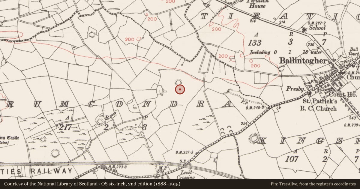 Ordnance Survey six-inch map, 2nd edition (1888–1915) covering the location of Cairn - unclassified, Drumcondra, County Sligo, with a pin at the register's coordinates