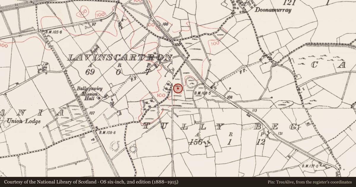Ordnance Survey six-inch map, 2nd edition (1888–1915) covering the location of Hut site, Tully Beg, County Sligo, with a pin at the register's coordinates