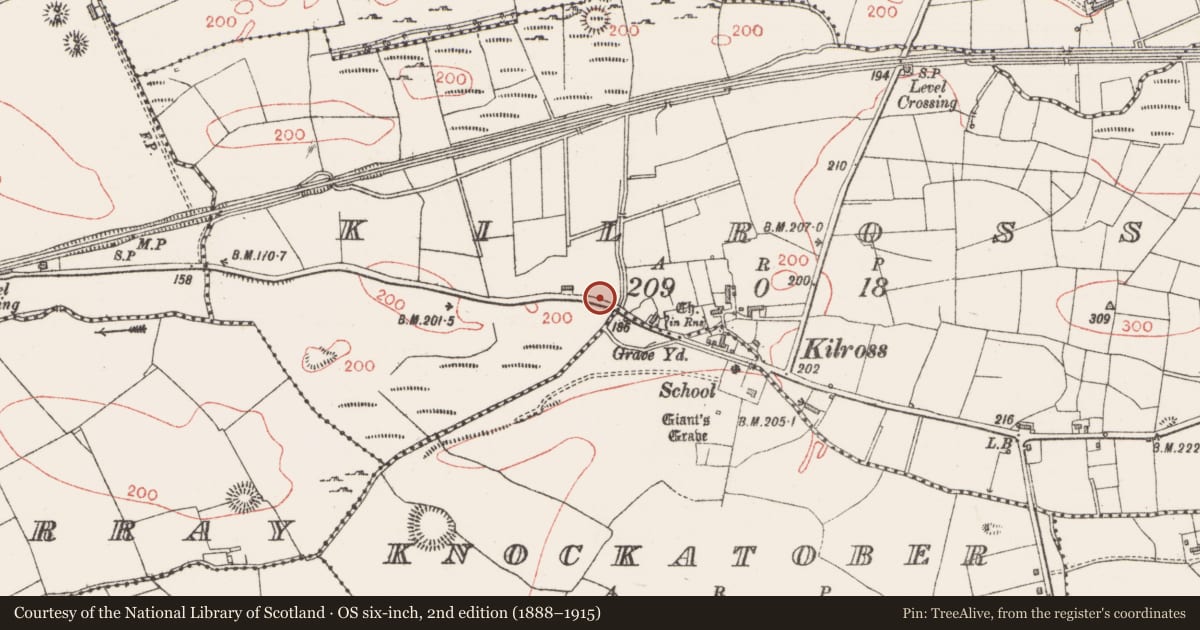 Ordnance Survey six-inch map, 2nd edition (1888–1915) covering the location of Cross, Kilross, County Sligo, with a pin at the register's coordinates
