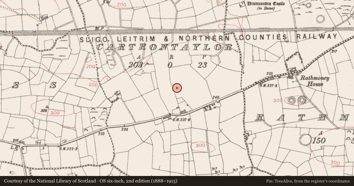 Ordnance Survey six-inch map, 2nd edition (1888–1915) covering the location of Enclosure, Cartrontaylor, County Sligo, with a pin at the register's coordinates