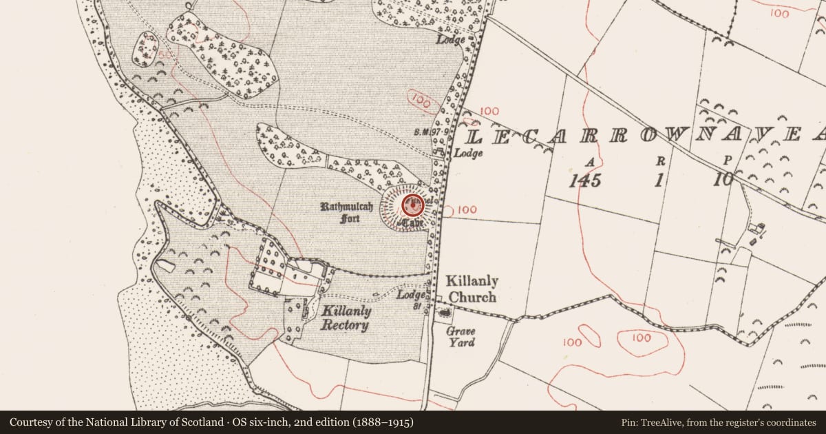 Ordnance Survey six-inch map, 2nd edition (1888–1915) covering the location of Ringfort - rath, Rinroe, County Sligo, with a pin at the register's coordinates