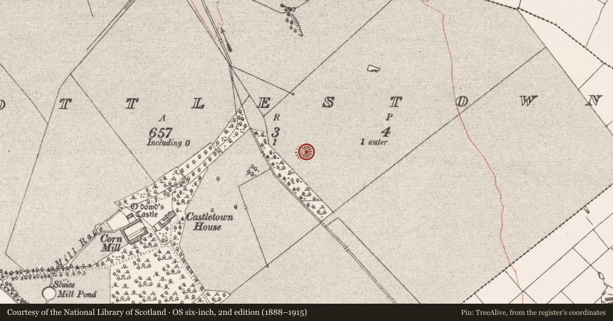 Ordnance Survey six-inch map, 2nd edition (1888–1915) covering the location of Ringfort - unclassified, Cottlestown, County Sligo, with a pin at the register's coordinates