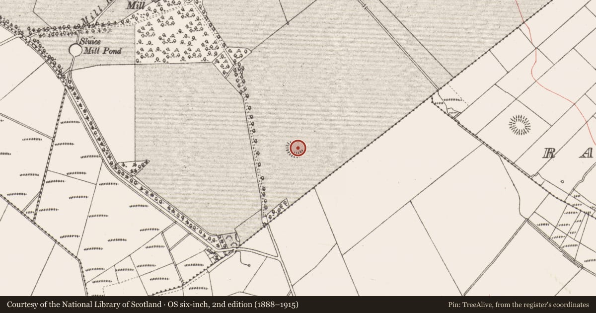 Ordnance Survey six-inch map, 2nd edition (1888–1915) covering the location of Ringfort - rath, Cottlestown, County Sligo, with a pin at the register's coordinates