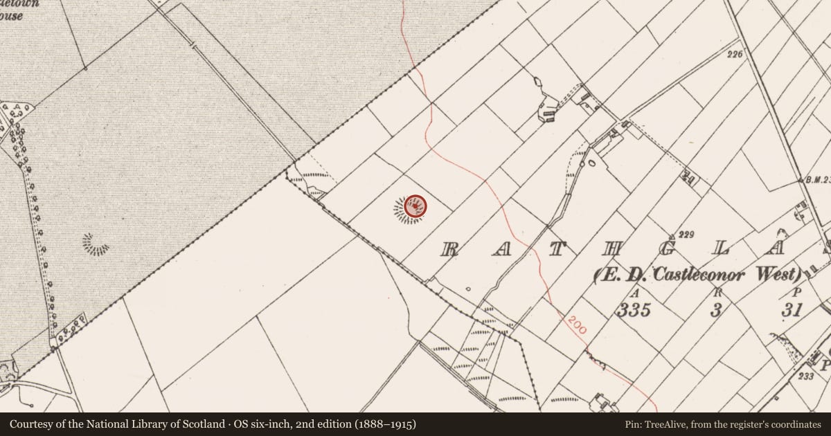 Ordnance Survey six-inch map, 2nd edition (1888–1915) covering the location of Ringfort - rath, Rathglass, County Sligo, with a pin at the register's coordinates