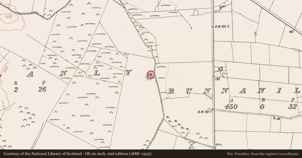 Ordnance Survey six-inch map, 2nd edition (1888–1915) covering the location of Ringfort - rath, Killanly, County Sligo, with a pin at the register's coordinates