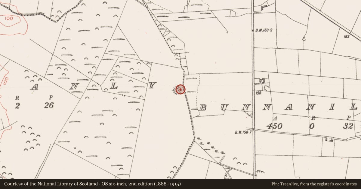 Ordnance Survey six-inch map, 2nd edition (1888–1915) covering the location of Hut site, Killanly, County Sligo, with a pin at the register's coordinates