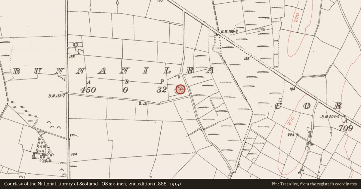 Ordnance Survey six-inch map, 2nd edition (1888–1915) covering the location of Ringfort - rath, Bunnanilra, County Sligo, with a pin at the register's coordinates