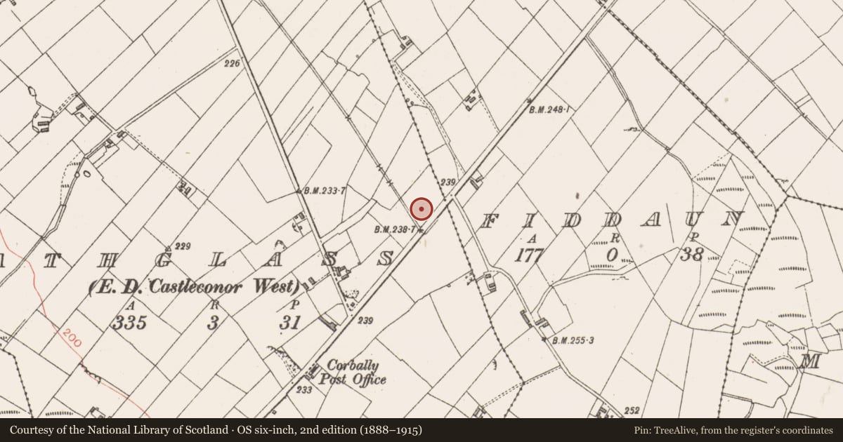 Ordnance Survey six-inch map, 2nd edition (1888–1915) covering the location of Fulacht fia, Rathglass, County Sligo, with a pin at the register's coordinates