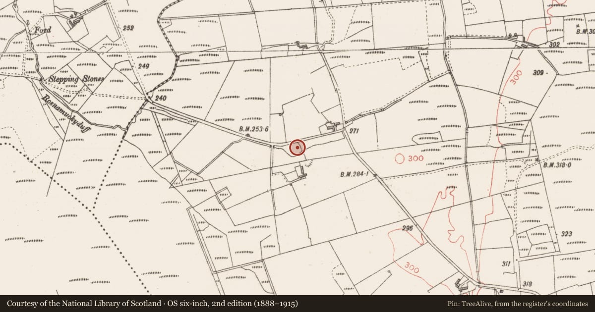 Ordnance Survey six-inch map, 2nd edition (1888–1915) covering the location of Burial ground, Carns, County Sligo, with a pin at the register's coordinates