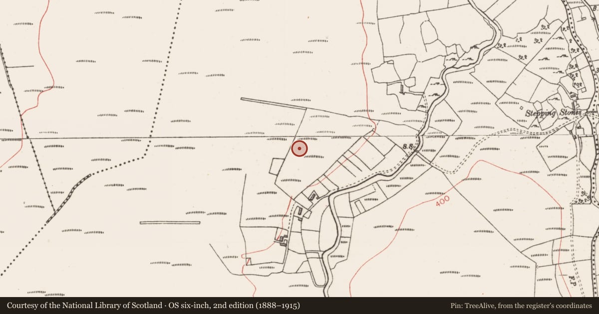 Ordnance Survey six-inch map, 2nd edition (1888–1915) covering the location of Field boundary, Tawnamore, County Sligo, with a pin at the register's coordinates