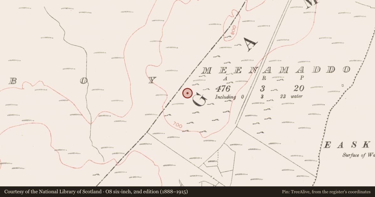 Ordnance Survey six-inch map, 2nd edition (1888–1915) covering the location of Standing stone, Meenamaddo, County Sligo, with a pin at the register's coordinates