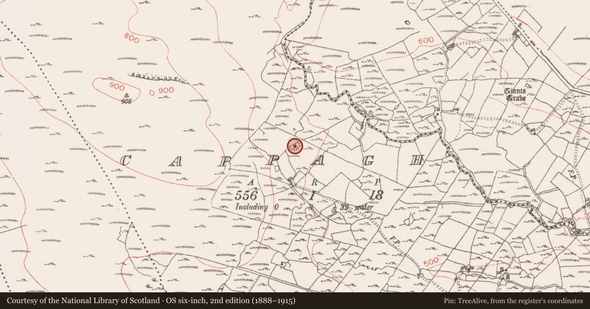 Ordnance Survey six-inch map, 2nd edition (1888–1915) covering the location of Ringfort - cashel, Cappagh, County Sligo, with a pin at the register's coordinates