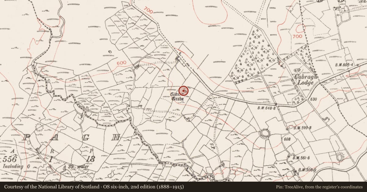 Ordnance Survey six-inch map, 2nd edition (1888–1915) covering the location of Megalithic tomb - wedge tomb, Cabragh, County Sligo, with a pin at the register's coordinates