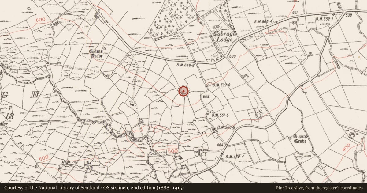 Ordnance Survey six-inch map, 2nd edition (1888–1915) covering the location of Ringfort - cashel, Cabragh, County Sligo, with a pin at the register's coordinates