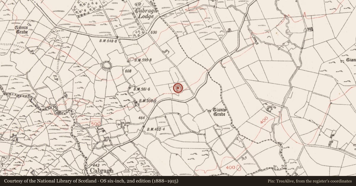 Ordnance Survey six-inch map, 2nd edition (1888–1915) covering the location of Enclosure, Cabragh, County Sligo, with a pin at the register's coordinates