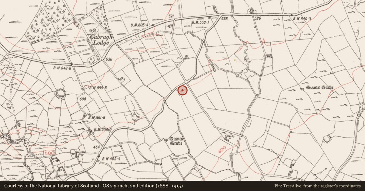 Ordnance Survey six-inch map, 2nd edition (1888–1915) covering the location of Ringfort - rath, Gortakeeran, County Sligo, with a pin at the register's coordinates