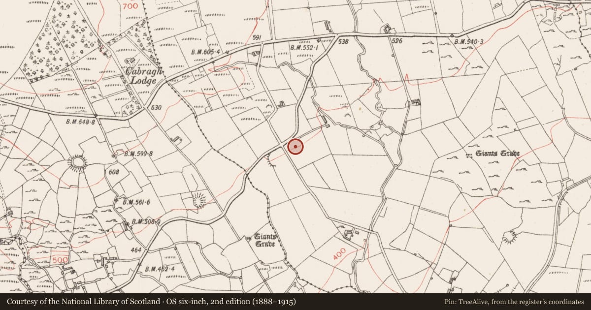 Ordnance Survey six-inch map, 2nd edition (1888–1915) covering the location of Ringfort - rath, Gortakeeran, County Sligo, with a pin at the register's coordinates