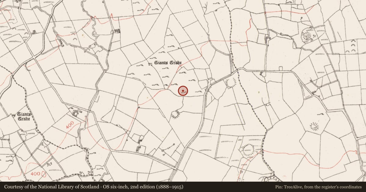 Ordnance Survey six-inch map, 2nd edition (1888–1915) covering the location of Megalithic tomb - unclassified, Gortakeeran, County Sligo, with a pin at the register's coordinates