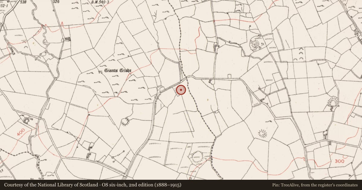 Ordnance Survey six-inch map, 2nd edition (1888–1915) covering the location of Ringfort - rath, Gortakeeran, County Sligo, with a pin at the register's coordinates