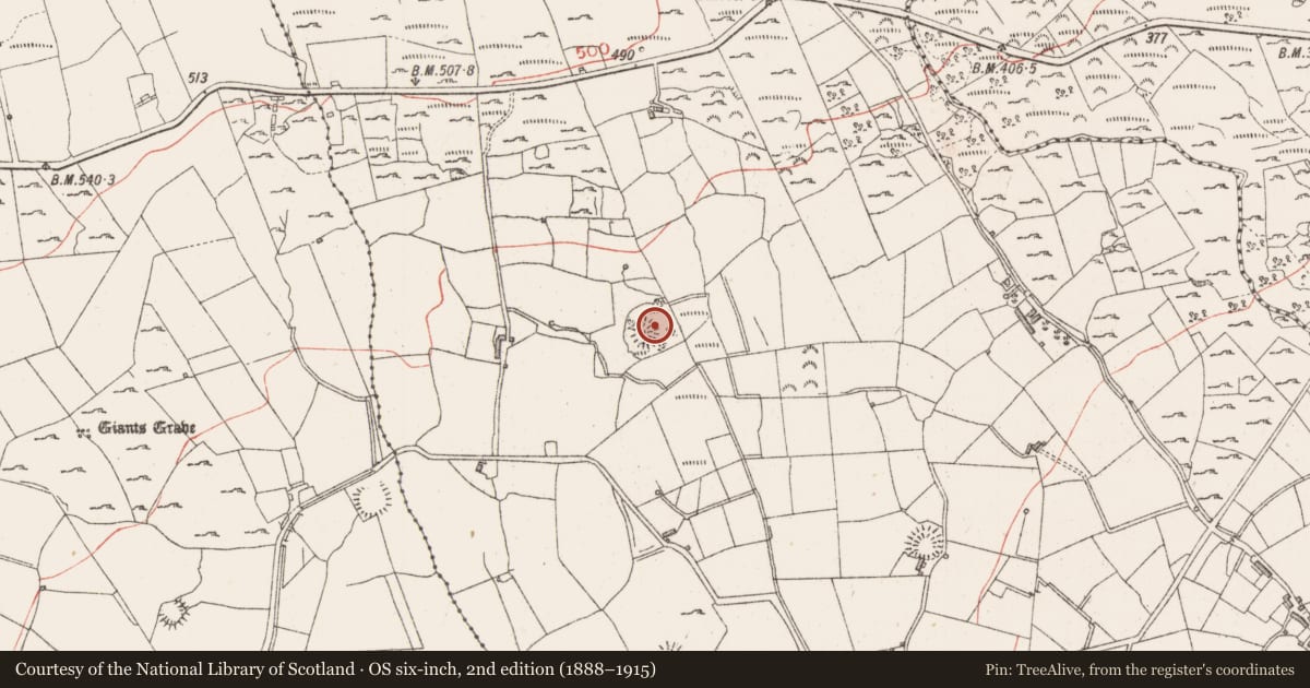 Ordnance Survey six-inch map, 2nd edition (1888–1915) covering the location of Souterrain, Carrowgavneen, County Sligo, with a pin at the register's coordinates
