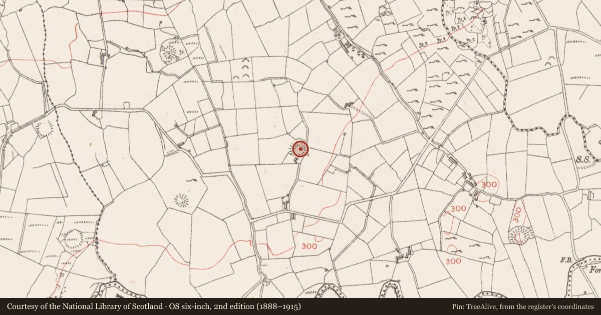Ordnance Survey six-inch map, 2nd edition (1888–1915) covering the location of Ringfort - rath, Carrowgavneen, County Sligo, with a pin at the register's coordinates