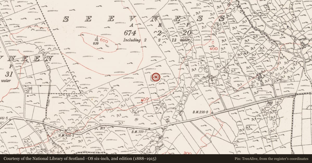 Ordnance Survey six-inch map, 2nd edition (1888–1915) covering the location of Ringfort - cashel, Seevness, County Sligo, with a pin at the register's coordinates
