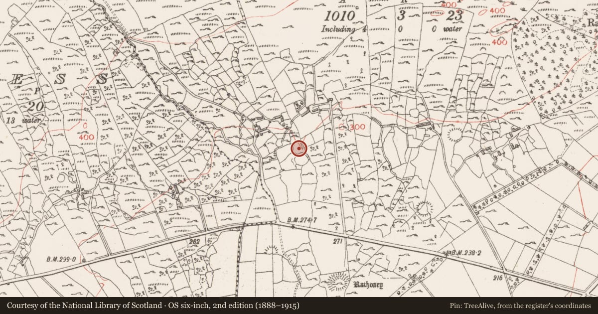 Ordnance Survey six-inch map, 2nd edition (1888–1915) covering the location of Ringfort - cashel, Rathosey, County Sligo, with a pin at the register's coordinates