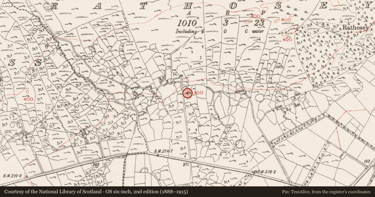 Ordnance Survey six-inch map, 2nd edition (1888–1915) covering the location of Enclosure, Rathosey, County Sligo, with a pin at the register's coordinates