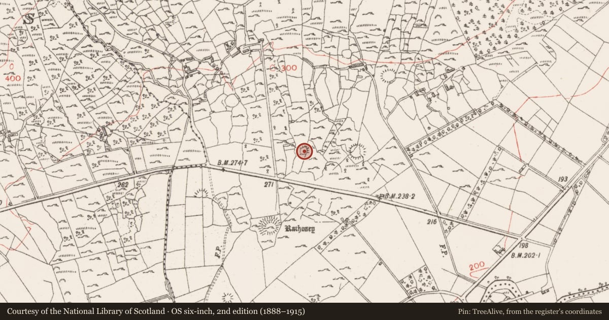 Ordnance Survey six-inch map, 2nd edition (1888–1915) covering the location of Ringfort - cashel, Rathosey, County Sligo, with a pin at the register's coordinates