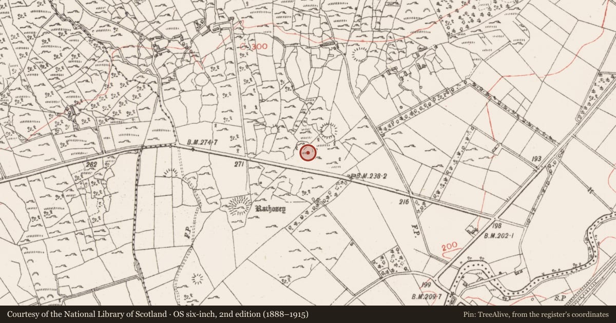 Ordnance Survey six-inch map, 2nd edition (1888–1915) covering the location of Enclosure, Rathosey, County Sligo, with a pin at the register's coordinates