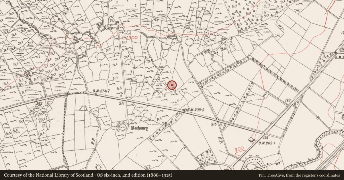 Ordnance Survey six-inch map, 2nd edition (1888–1915) covering the location of Ringfort - rath, Rathosey, County Sligo, with a pin at the register's coordinates