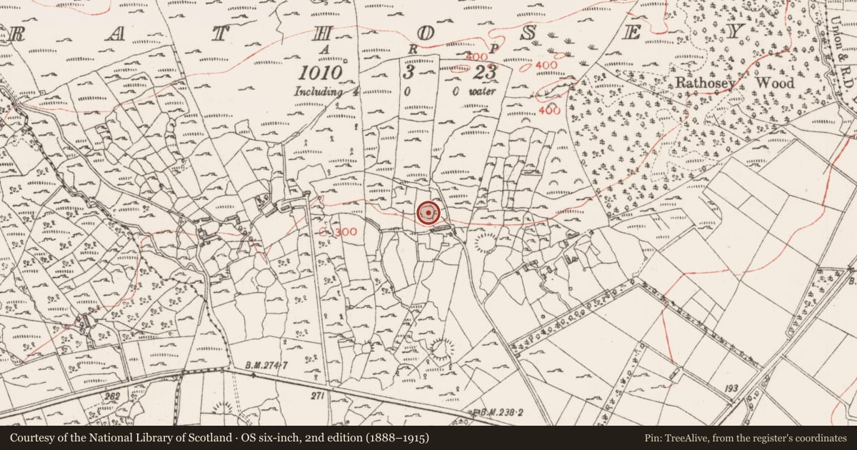 Ordnance Survey six-inch map, 2nd edition (1888–1915) covering the location of Ringfort - cashel, Rathosey, County Sligo, with a pin at the register's coordinates