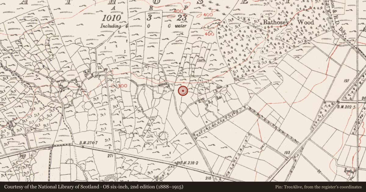 Ordnance Survey six-inch map, 2nd edition (1888–1915) covering the location of Ringfort - cashel, Rathosey, County Sligo, with a pin at the register's coordinates