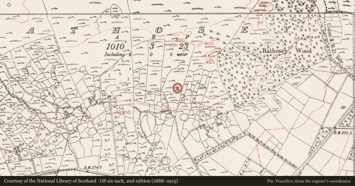 Ordnance Survey six-inch map, 2nd edition (1888–1915) covering the location of Hut site, Rathosey, County Sligo, with a pin at the register's coordinates