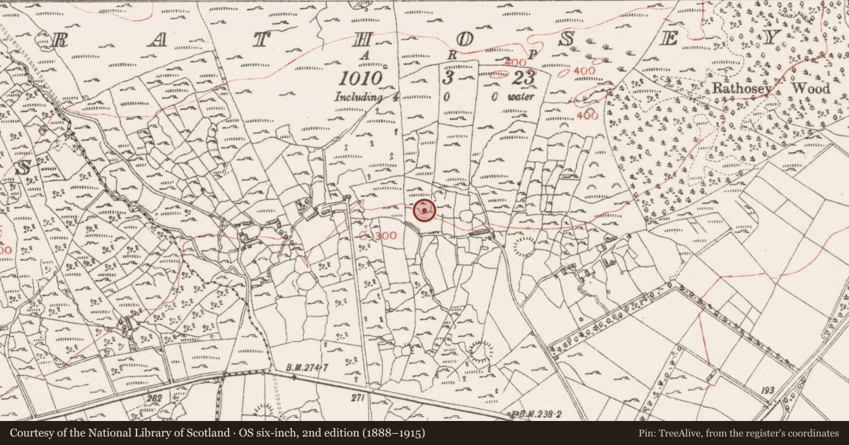 Ordnance Survey six-inch map, 2nd edition (1888–1915) covering the location of Enclosure, Rathosey, County Sligo, with a pin at the register's coordinates