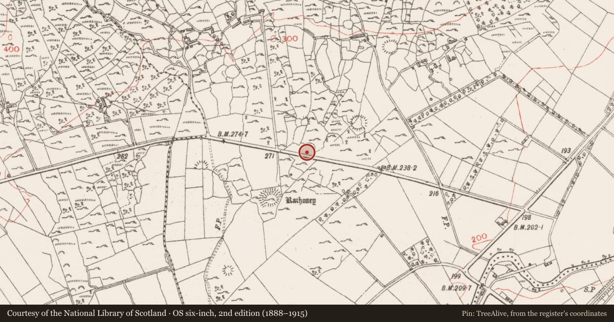 Ordnance Survey six-inch map, 2nd edition (1888–1915) covering the location of Ringfort - cashel, Rathosey, County Sligo, with a pin at the register's coordinates