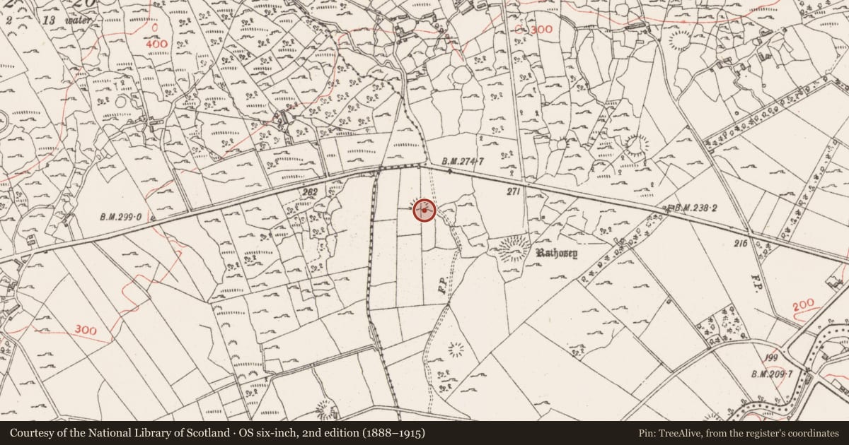 Ordnance Survey six-inch map, 2nd edition (1888–1915) covering the location of Ringfort - rath, Rathosey, County Sligo, with a pin at the register's coordinates