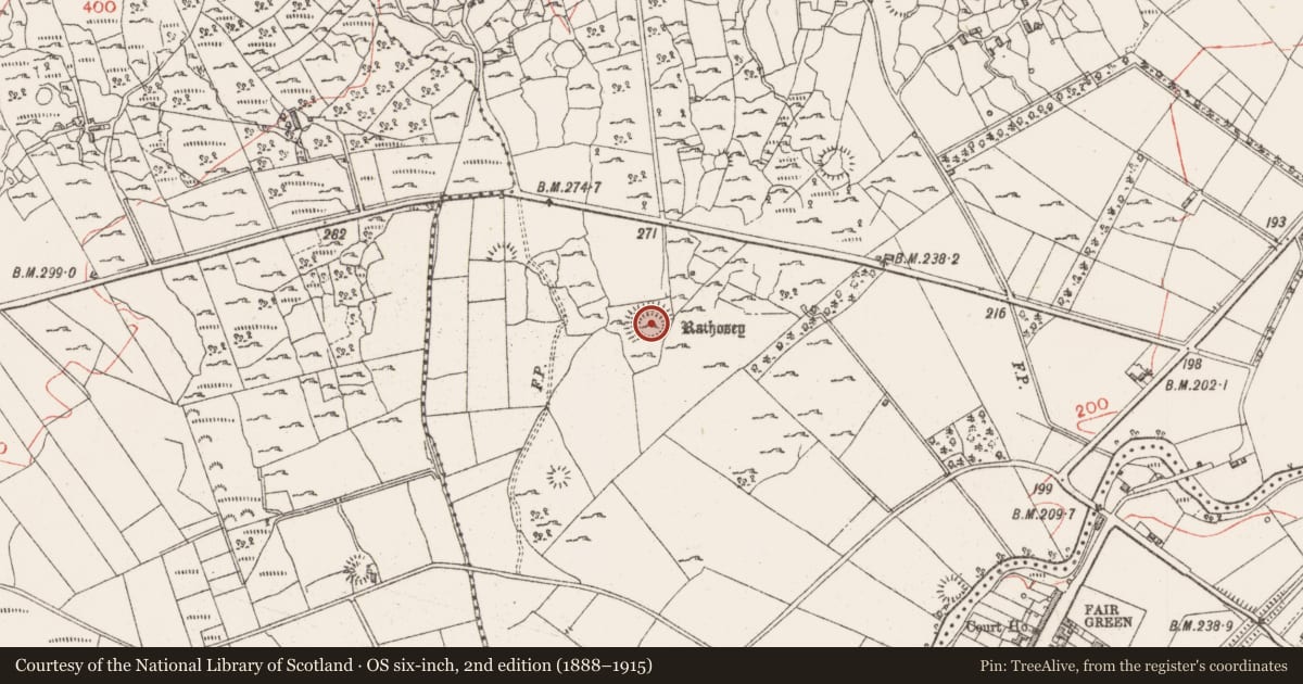 Ordnance Survey six-inch map, 2nd edition (1888–1915) covering the location of Ringfort - rath, Rathosey, County Sligo, with a pin at the register's coordinates