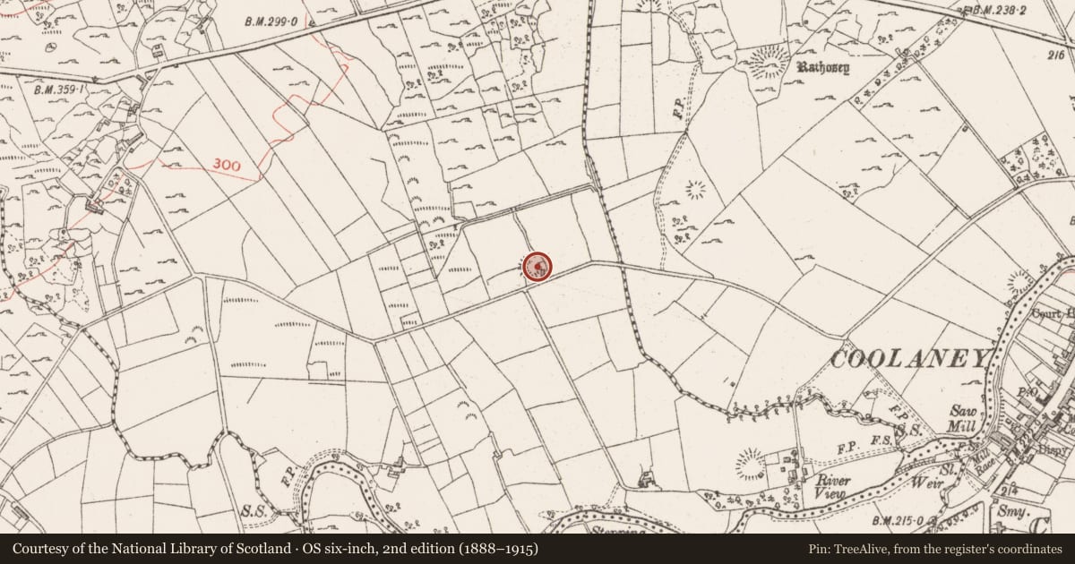 Ordnance Survey six-inch map, 2nd edition (1888–1915) covering the location of Ringfort - rath, Seevness, County Sligo, with a pin at the register's coordinates