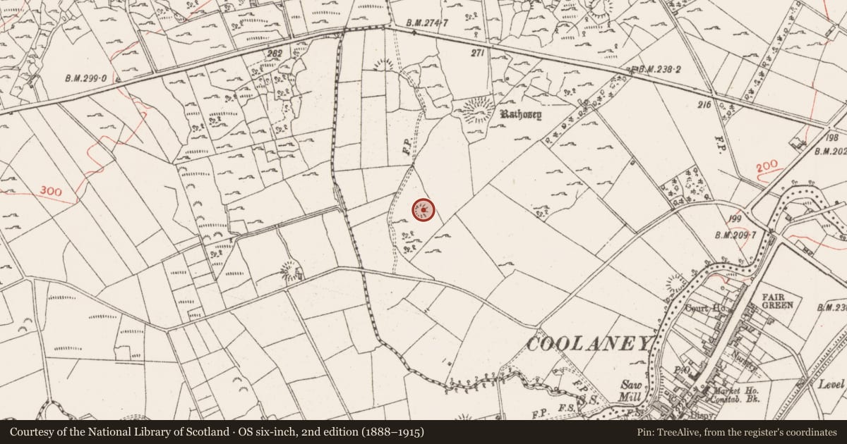 Ordnance Survey six-inch map, 2nd edition (1888–1915) covering the location of Enclosure, Rathosey, County Sligo, with a pin at the register's coordinates